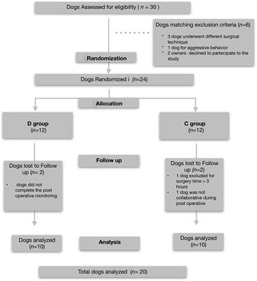 Evaluation of a constant rate intravenous infusion of dexmedetomidine on the duration of a femoral and sciatic nerve block using lidocaine in dogs